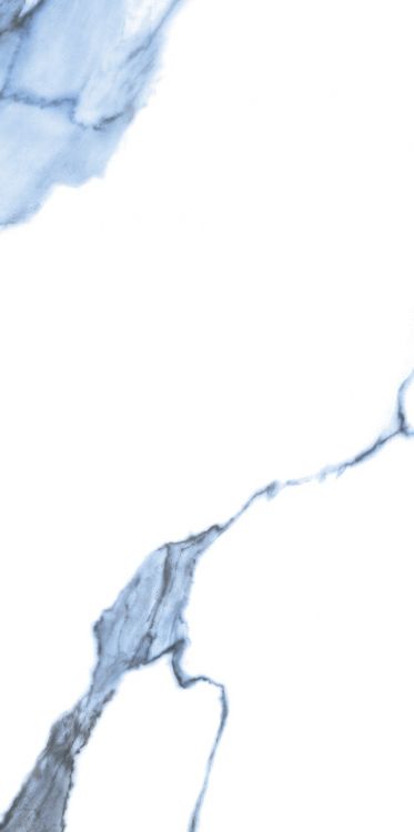 Calacatta Blue Matte 12 x 24
